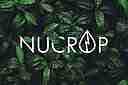 NUCROP Key Visual